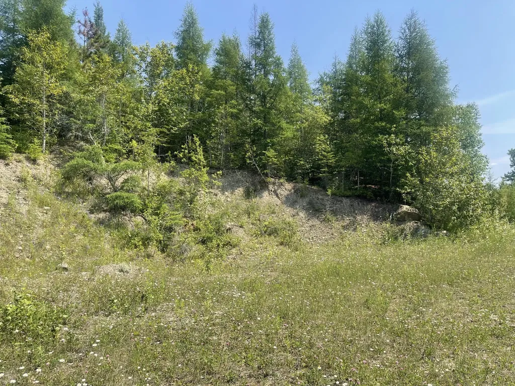 Lot 42 Lombard Road Caribou ME 04736