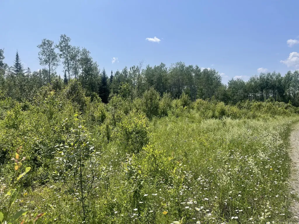 Lot 42 Lombard Road Caribou ME 04736