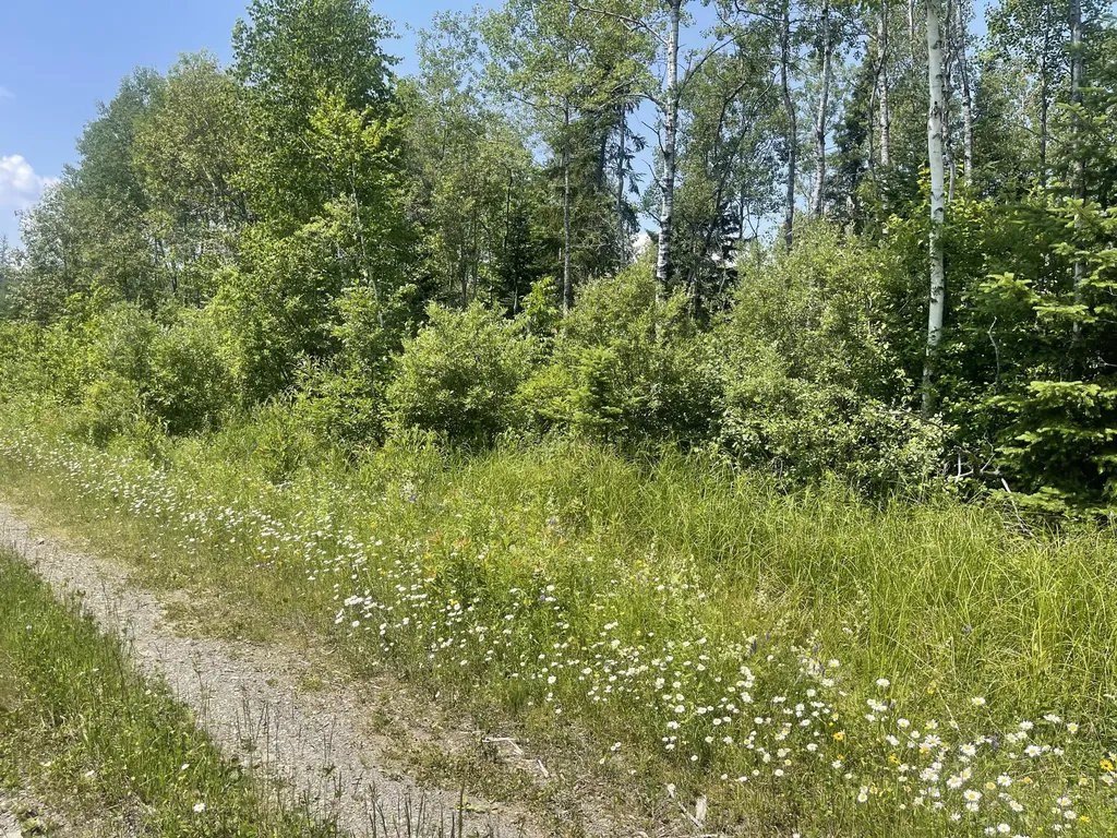 Lot 42 Lombard Road Caribou ME 04736