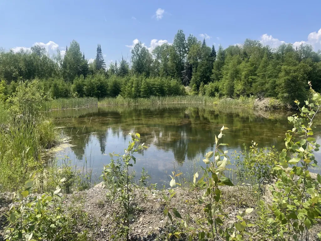 Lot 42 Lombard Road Caribou ME 04736