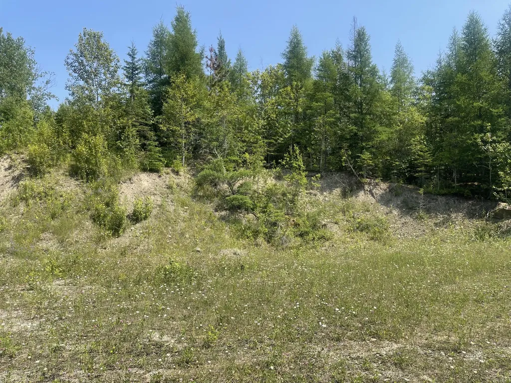 Lot 42 Lombard Road Caribou ME 04736