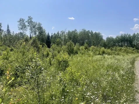 Lot 42 Lombard Road Caribou ME 04736