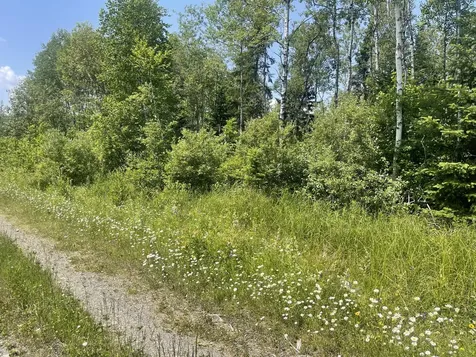 Lot 42 Lombard Road Caribou ME 04736