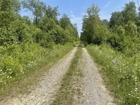 Lot 42 Lombard Road Caribou ME 04736