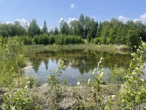 Lot 42 Lombard Road Caribou ME 04736