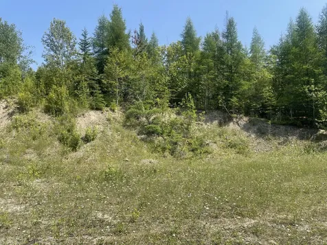 Lot 42 Lombard Road Caribou ME 04736