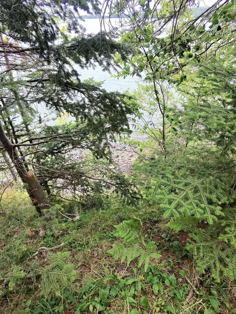 1 Sunset Drive Eastport ME 04631
