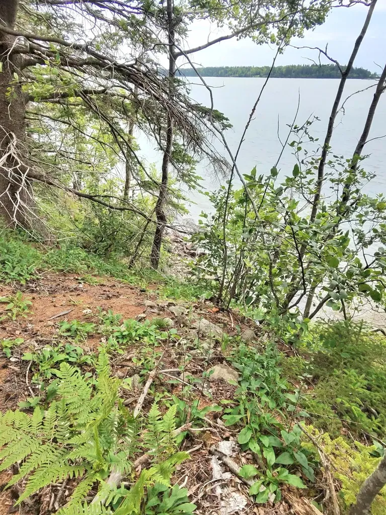 1 Sunset Drive Eastport ME 04631