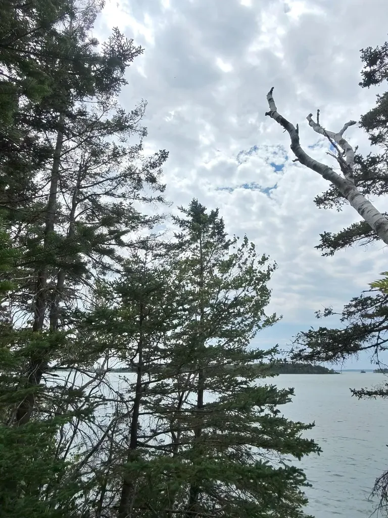 1 Sunset Drive Eastport ME 04631