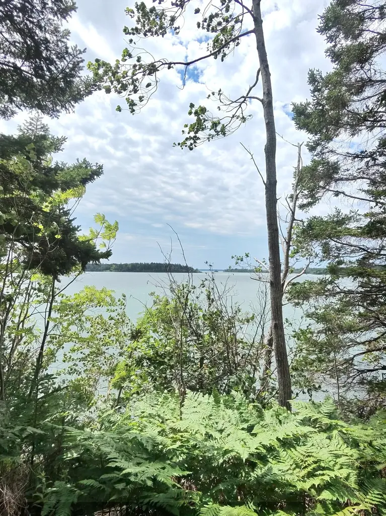 1 Sunset Drive Eastport ME 04631