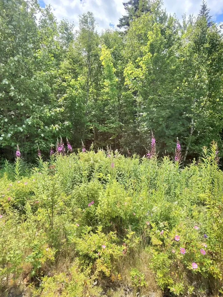 1 Sunset Drive Eastport ME 04631