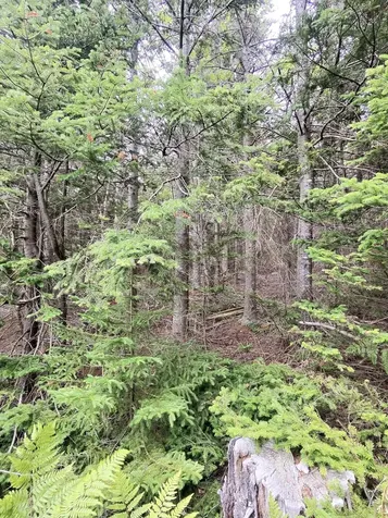 1 Sunset Drive Eastport ME 04631