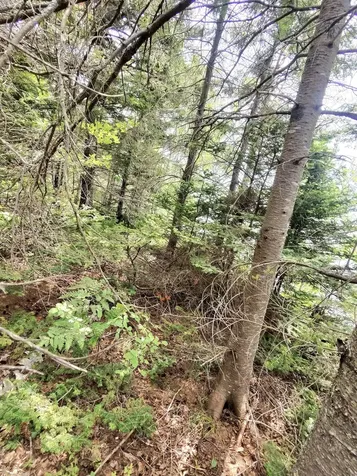 1 Sunset Drive Eastport ME 04631