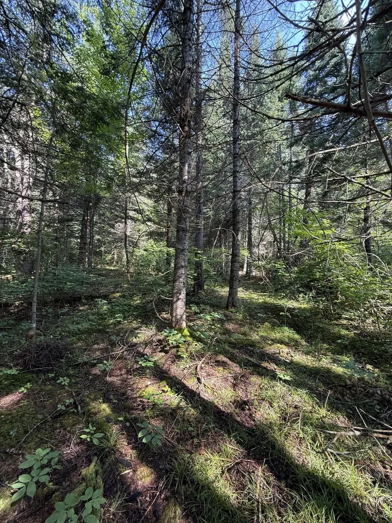 MAP8LOT21 Skedgell Road Cary Plt ME 04471