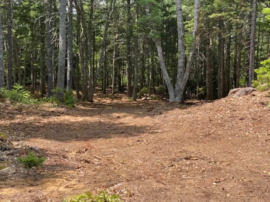 Bristol ME, Lot 6 Bunchberry Lane
