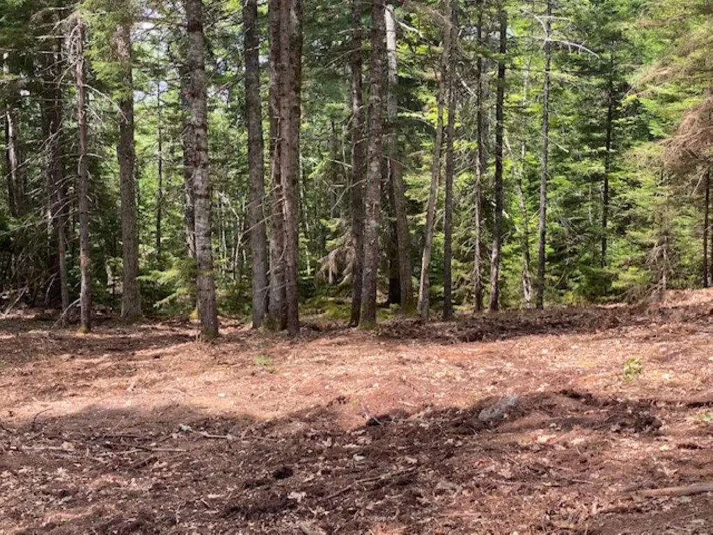 Lot 6 Bunchberry Lane Bristol ME 04554