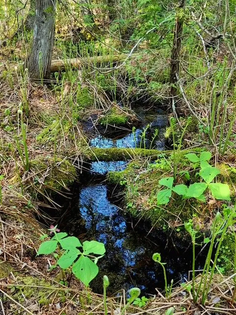 Lot 2 Morrison Brook Acres Oakfield ME 04763