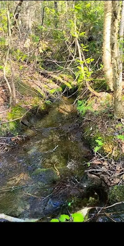 Lot 2 Morrison Brook Acres Oakfield ME 04763