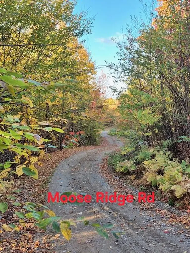 Lot 2 Morrison Brook Acres Oakfield ME 04763