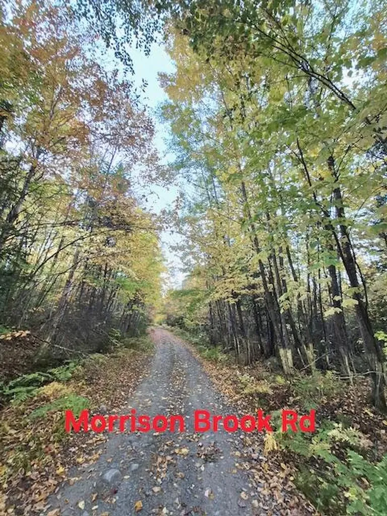 Lot 2 Morrison Brook Acres Oakfield ME 04763