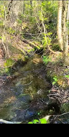Lot 2 Morrison Brook Acres Oakfield ME 04763