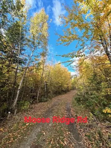 Lot 2 Morrison Brook Acres Oakfield ME 04763