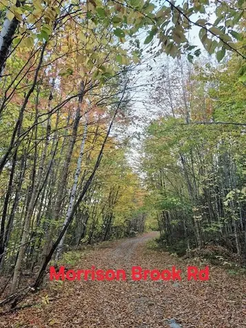 Lot 2 Morrison Brook Acres Oakfield ME 04763