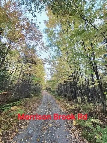 Lot 2 Morrison Brook Acres Oakfield ME 04763