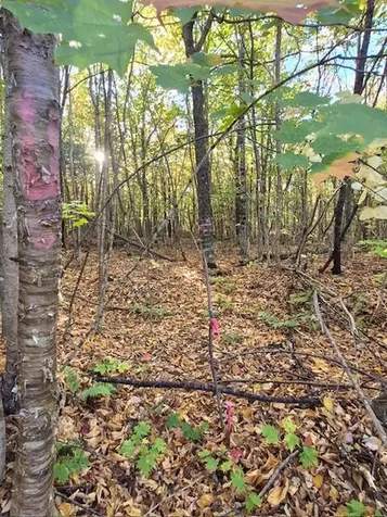 Lot 2 Morrison Brook Acres Oakfield ME 04763