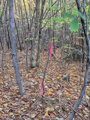 Lot 2 Morrison Brook Acres Oakfield ME 04763