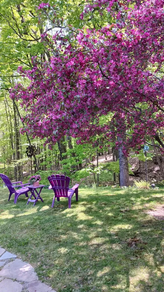40 Coburn Avenue Skowhegan ME 04976