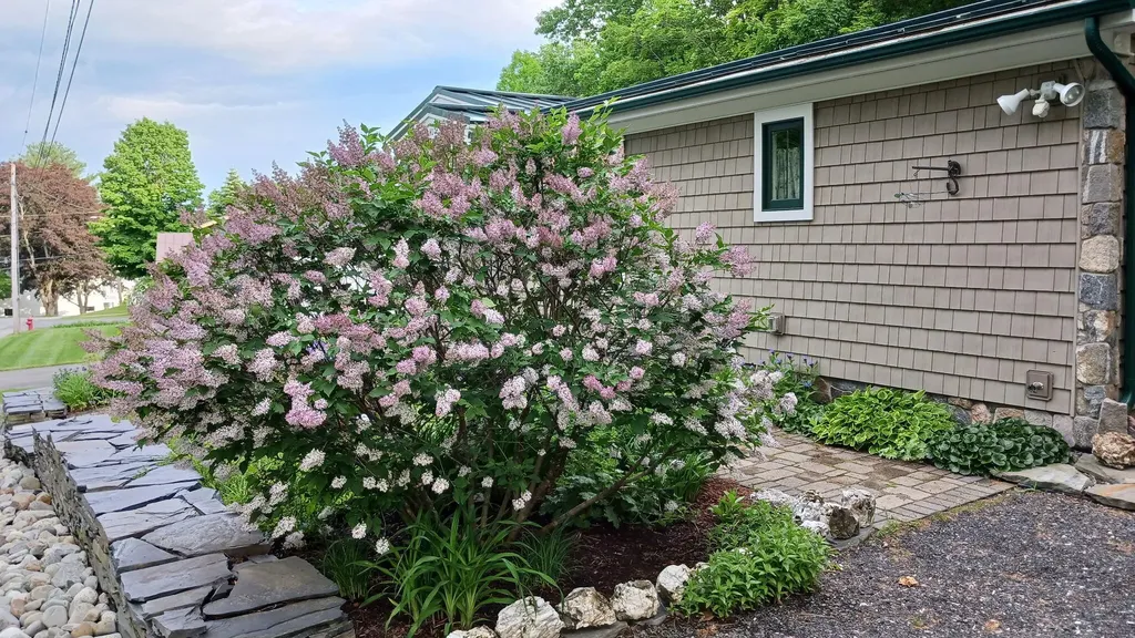 40 Coburn Avenue Skowhegan ME 04976