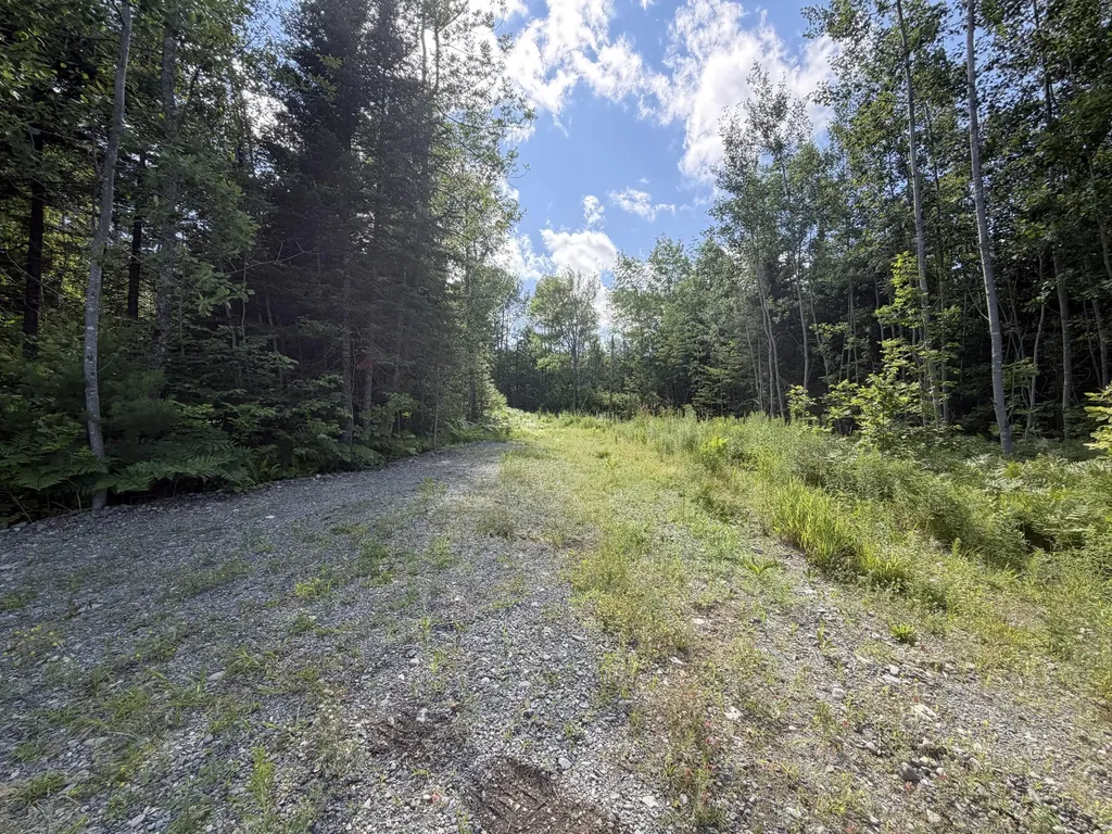 38 Monument Road Abbot ME 04406