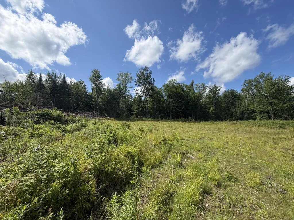 38 Monument Road Abbot ME 04406