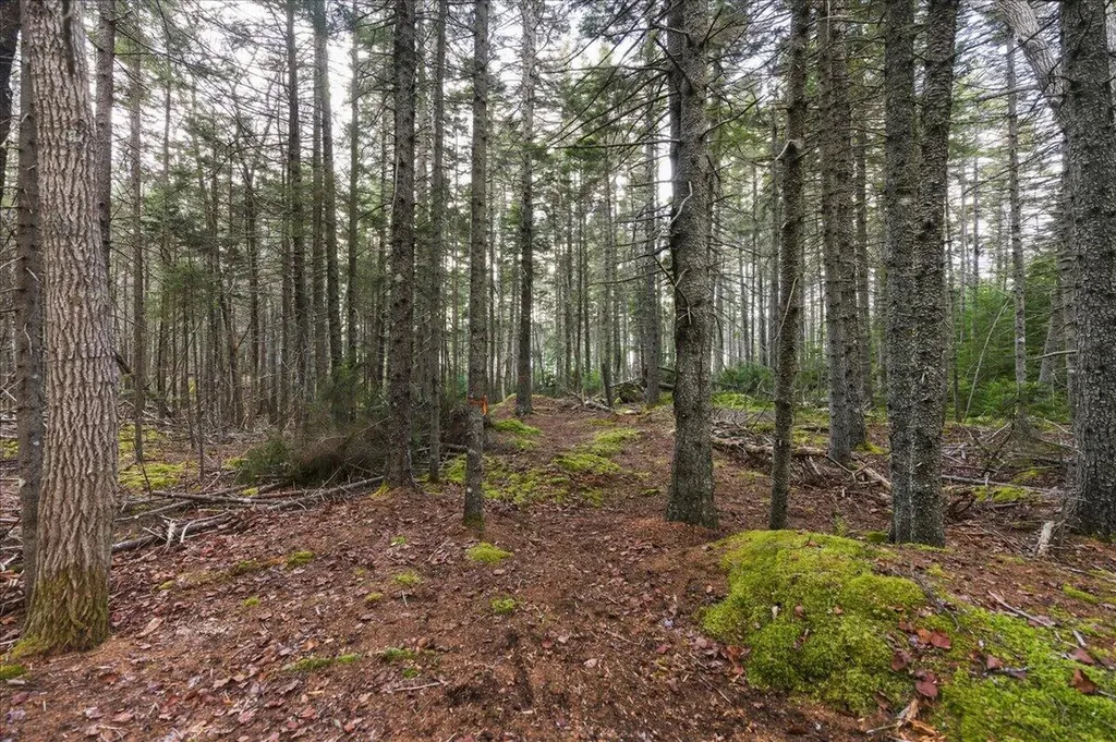 M3-2A Oceanville Road Stonington ME 04681