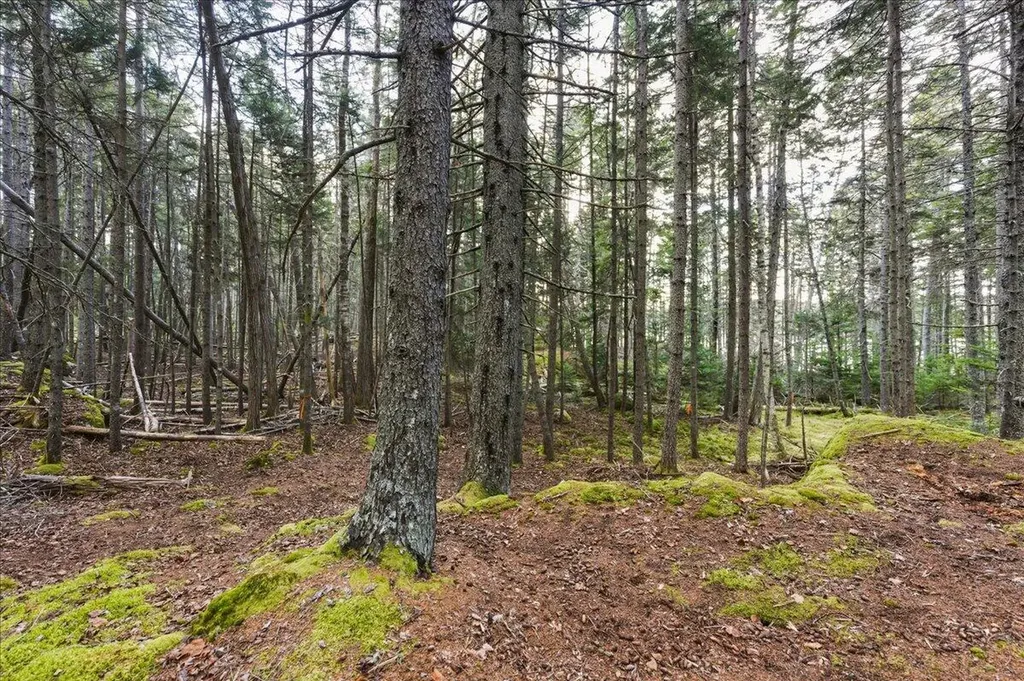 M3-2A Oceanville Road Stonington ME 04681