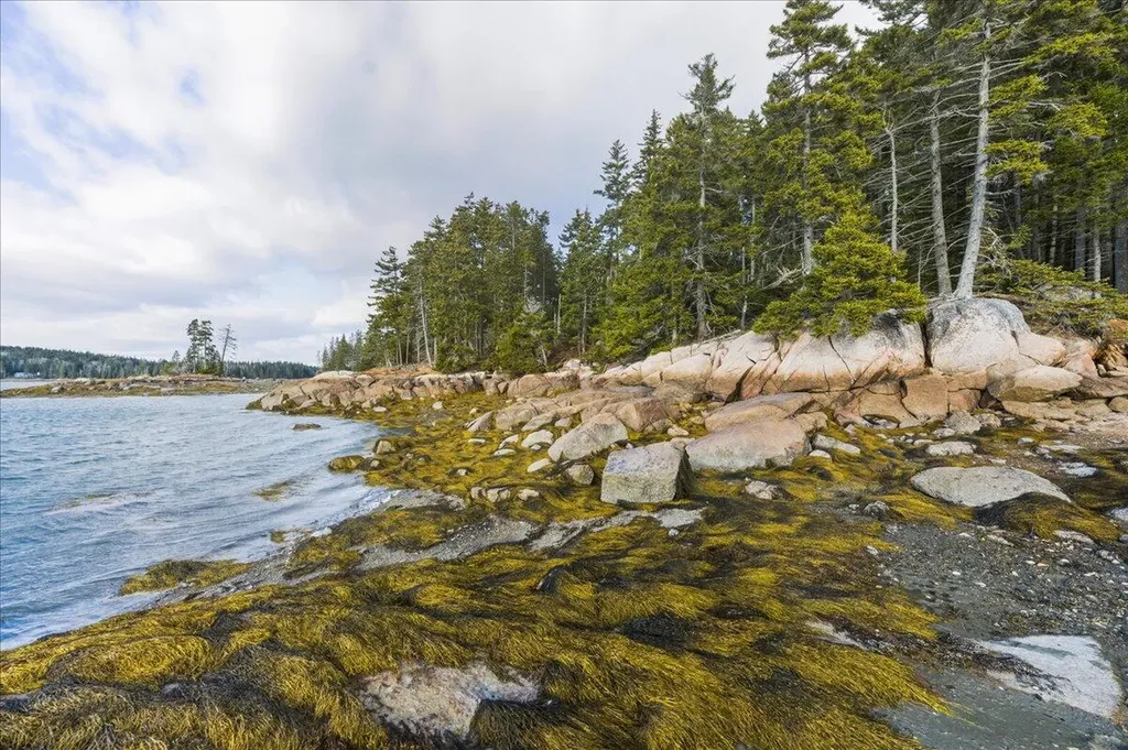 M3-2A Oceanville Road Stonington ME 04681