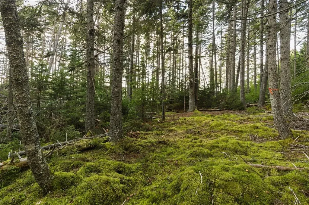M3-2A Oceanville Road Stonington ME 04681