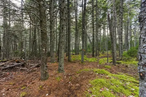 M3-2A Oceanville Road Stonington ME 04681