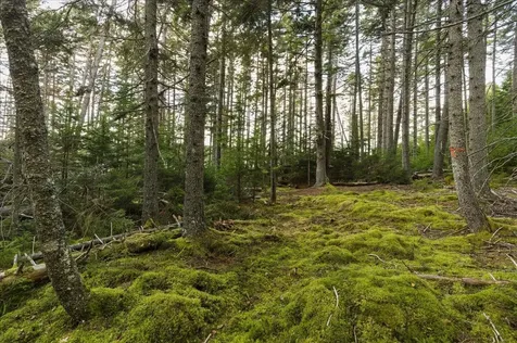 M3-2A Oceanville Road Stonington ME 04681