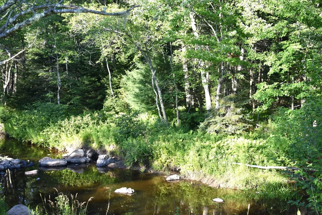 Knox Kenney Road Knox ME 04986