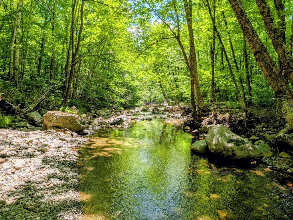 Lot 42 Beech Hill Road Madrid Twp ME 04966