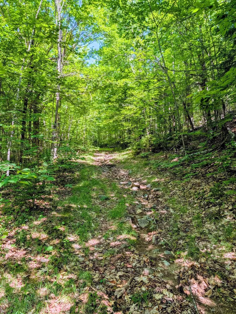 Lot 42 Beech Hill Road Madrid Twp ME 04966