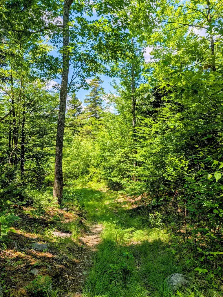 Lot 42 Beech Hill Road Madrid Twp ME 04966