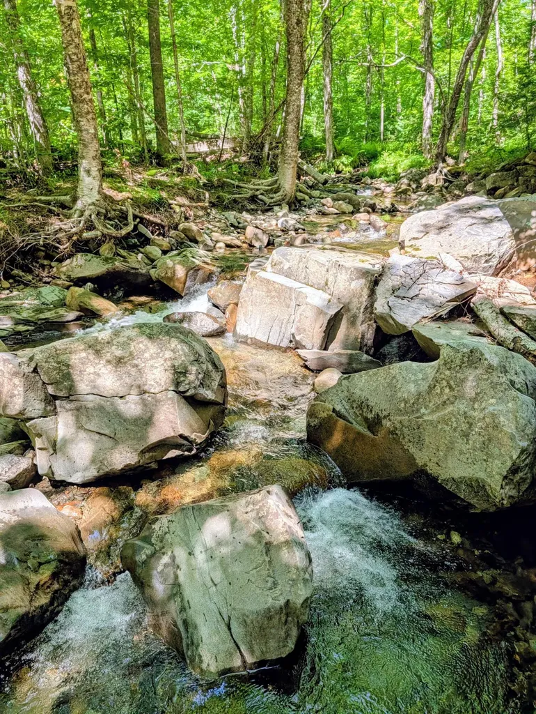 Lot 42 Beech Hill Road Madrid Twp ME 04966