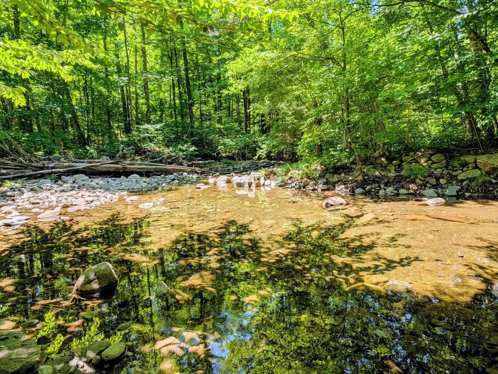 Lot 42 Beech Hill Road Madrid Twp ME 04966