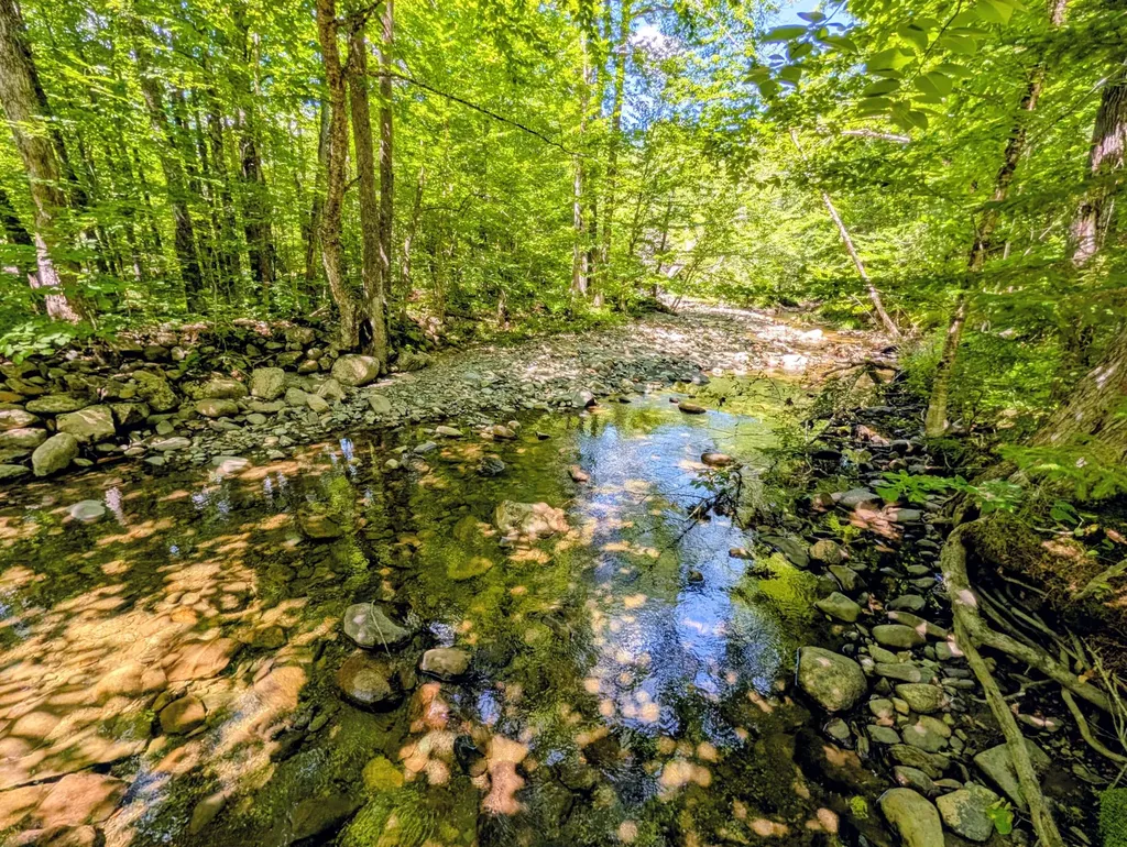 Lot 42 Beech Hill Road Madrid Twp ME 04966