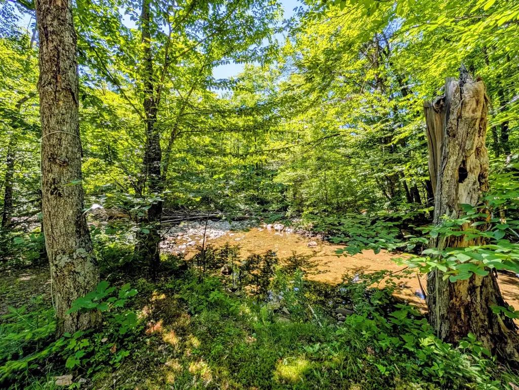 Lot 42 Beech Hill Road Madrid Twp ME 04966
