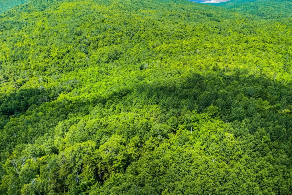 Lot 42 Beech Hill Road Madrid Twp ME 04966