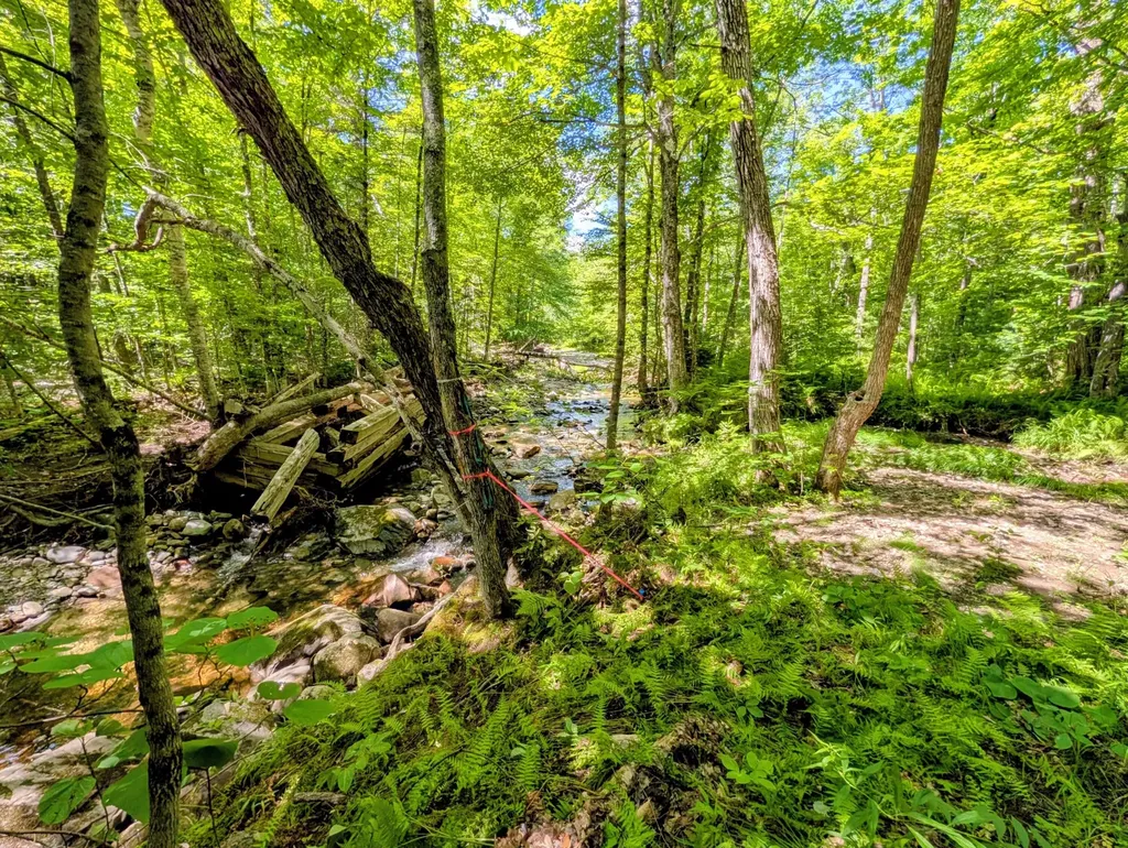 Lot 42 Beech Hill Road Madrid Twp ME 04966